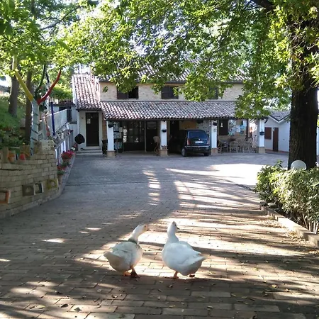 Campeggio Barbagianni
